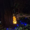 히어로 펜션 이미지