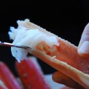 지영이네 활어 이미지