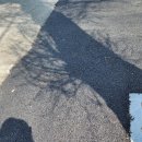 새순카센타 이미지