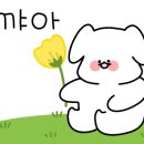 강릉햇살주유소 이미지