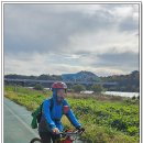 금호강영천 이미지