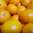 현승농장 이미지