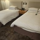 호텔휴식서귀포 | 칼호텔 서귀포 방문후기｜제주도 서귀포 5성급 멋진 뷰와 가성비 호텔