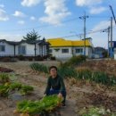 소금부동산공인중개사사무소 이미지