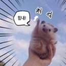 부디스튜디오