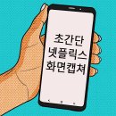 릭스PC | 넷플릭스 화면 캡쳐 간단한 방법 (PC 테스트 완료)