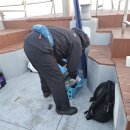 낚시만세 | [고성 대구라바 낚시]다이와 솔티스트 타라 SP 사용후기