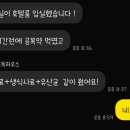세이프독하우스
