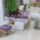 폴리파크 반송점 이미지