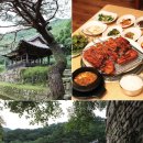 [일탈정보]한국인이 꼭 가봐야 할 국내 관광지 1위 문경 이미지