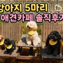 오가멍