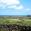 예그리나호스텔 이미지