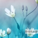 ♣4526번째 한국미소문학 아침편지(숨 쉬는 세상 - 한성수 시인) 이미지