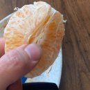 장수인삼족발보쌈 이미지