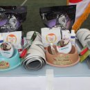 윤선생애견훈련소 이미지