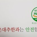 보은대추한과 이미지