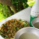 강매로 | 2025 창릉천 코스모스 축제(강매석교공원) 후기