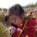 젊음과패기공원2 이미지