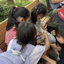 꽁냥이놀이터 이미지