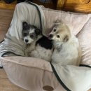 차문화센터2 이미지