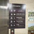 원배농장 | 이태원왁싱샵 히트왁싱태닝 빠르고 와일드한 손놀림