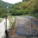 선리농장 이미지