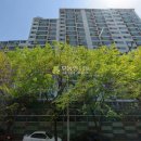 도림천로 이미지