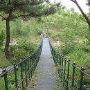 동의탕제원 티스토리