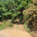 궁평보건진료소 이미지