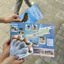 북부운수(주) | 대만 타이베이 근교 - 예스진지 택시 투어 후기