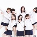 316015 네이버블로그