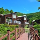 국립남해편백자연휴양림 이미지