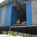 순창금산흑염소농장 이미지