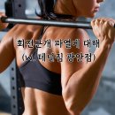 테넌짐 이미지