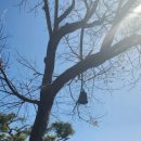 호수가 풍경소리 이미지