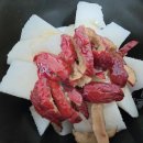 대추머리목장 | 마운자로 2주차 일상글(+경주나들이+웰포트신상 구매후기)