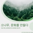 강원특별자치도산림박물관 | 🌲 소나무, 문화를 만들다 – 국립수목원 &amp; 강원특별자치도산림박물관 공동기획전