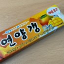 여름방학