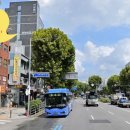 양지치과의원 이미지