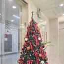 건지솔루션 | 범계다이어트 솔루션다이어트 후기｜11월 27일 시작, 80kg→69kg 앞자리 두 번 변화