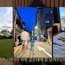 최정윤 카카오 검색결과