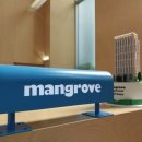 맹그로브 동대문 | Mangrove 맹그로브 동대문 후기