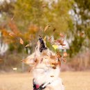 파주출판단지 근린공원(1) 이미지