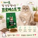 밥프로(밥pro) | 기호성 좋은 고양이 사료? 대용량 프로베스트 캣 그린 보관 꿀팁까지!