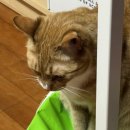 (주)피피엠 이미지