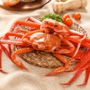 울진상회 이미지