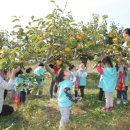 빗돌배기마을 이미지