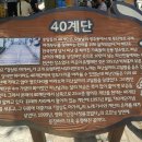 호텔40계단 이미지