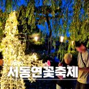 놀이:터 | 2026 부여 서동연꽃축제 일정 야간 불꽃놀이 주차 후기
