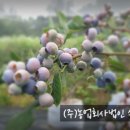 농업회사법인 (주)수농원 이미지